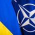 Грузії нададуть ПДЧ у НАТО раніше, ніж Україні